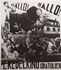 Friedrich Wolf: Bilder einer deutschen Biographie: Dokumentation / Von Lew Hohmann. - Berlin, 1988. (S. 231).